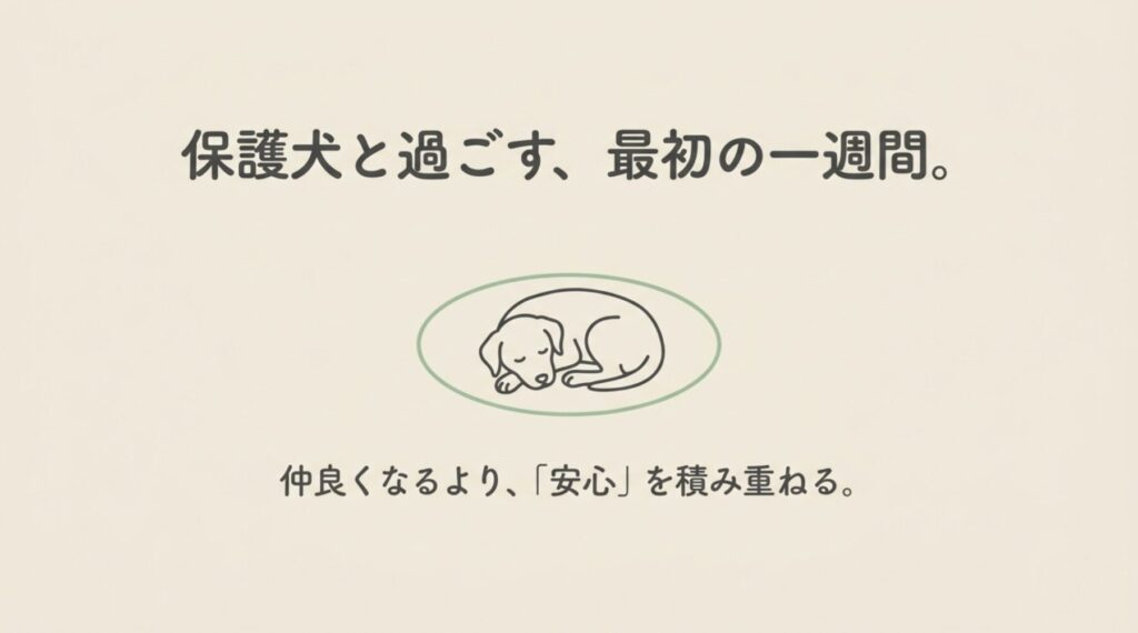 保護犬と過ごす、最初の一週間。仲良くなるより、「安心」を積み重ねる。」と書かれたスライドの表紙画像。マットの上で眠る犬のイラストが描かれています。