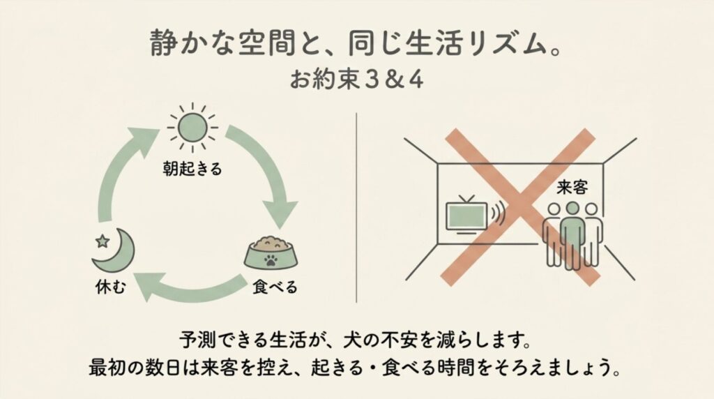 「静かな空間と、同じ生活リズム。」（お約束3＆4）として、朝起きて、食べて、休むという循環のイラストと、来客やテレビを×印で控える様子が描かれたスライド画像。