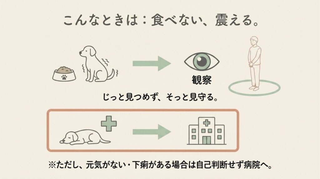 「こんなときは：食べない、震える。」として、じっと見つめずそっと見守る観察のコツと、元気がない・下痢がある場合は病院へ行くよう注意書きが添えられたスライド画像。